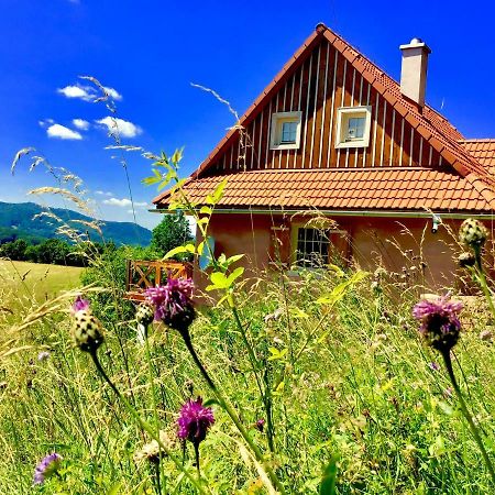 Affittacamere Kopanicky Dvor Hodruša Esterno foto