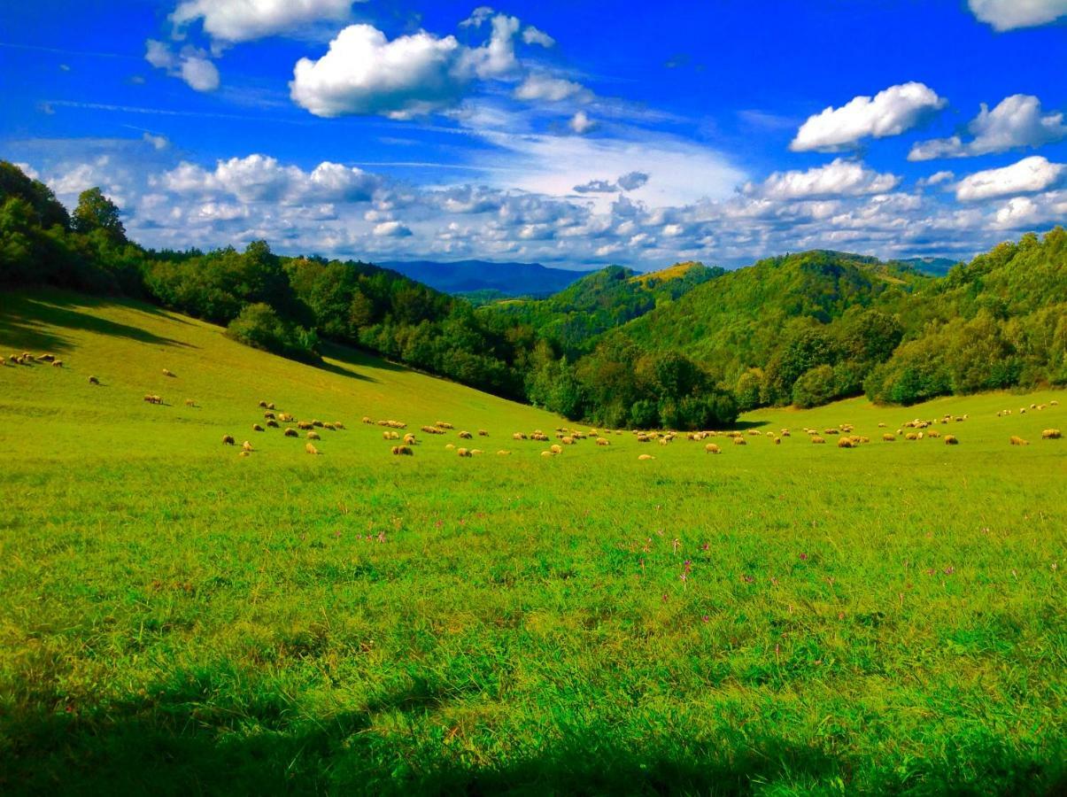 Affittacamere Kopanicky Dvor Hodruša Esterno foto
