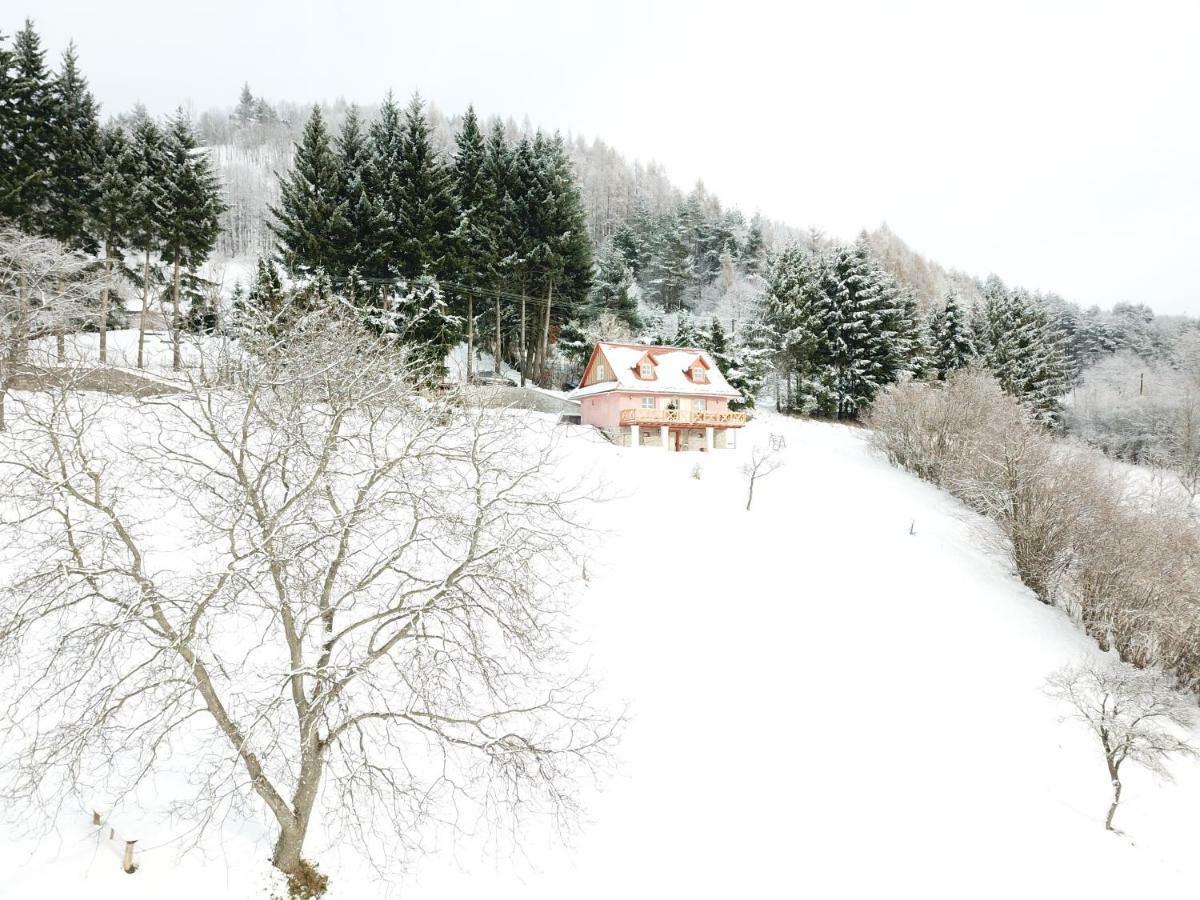 Affittacamere Kopanicky Dvor Hodruša Esterno foto