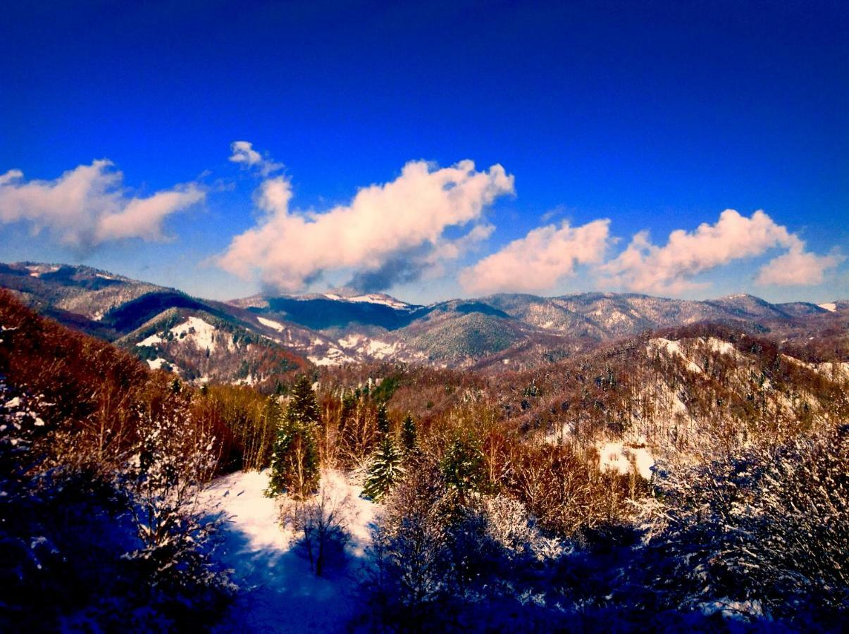 Affittacamere Kopanicky Dvor Hodruša Esterno foto
