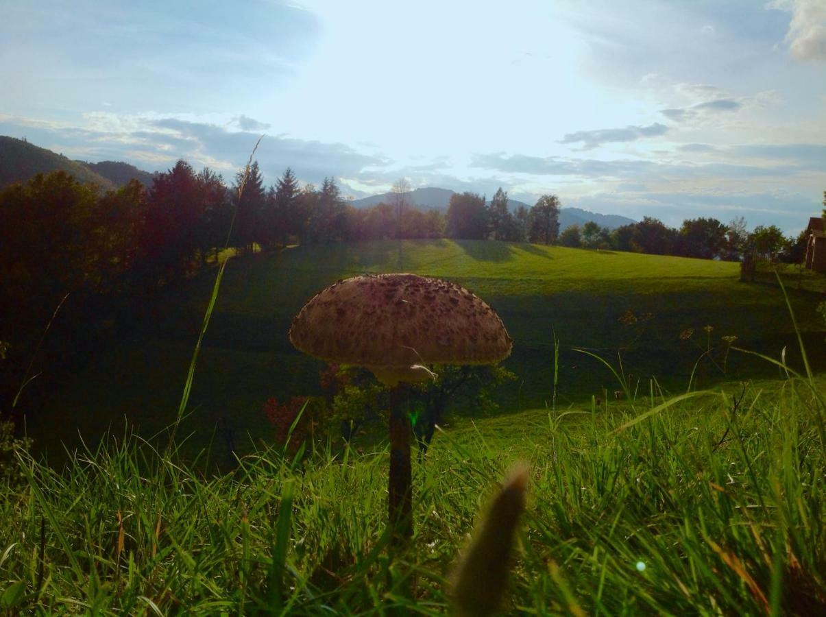Affittacamere Kopanicky Dvor Hodruša Esterno foto