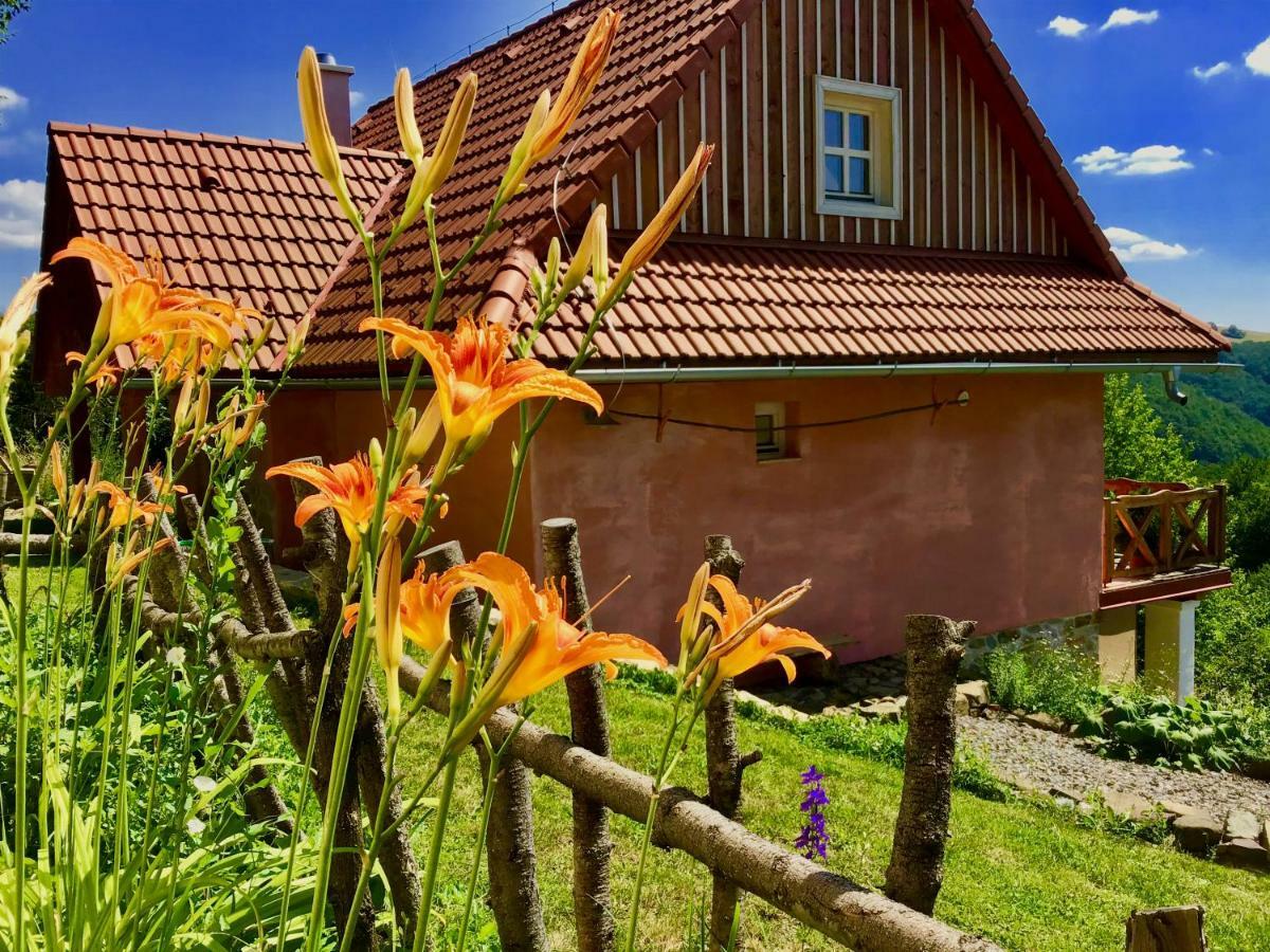 Affittacamere Kopanicky Dvor Hodruša Esterno foto